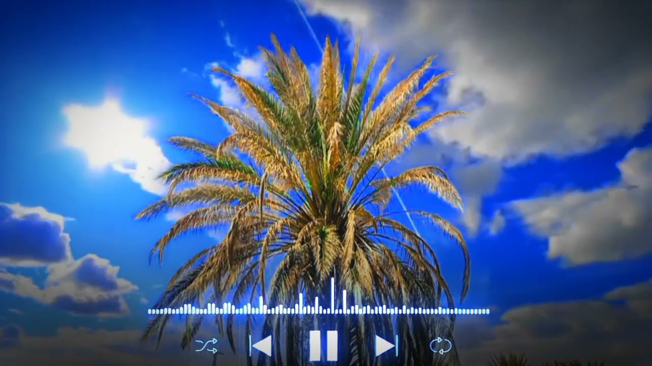 Tai ye chonain sangati e khamakha zaar a New balochi song 2024|| Irani balochi song||#Basitzaib