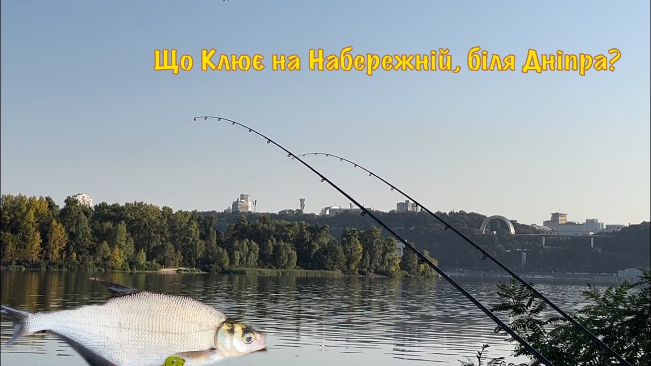 РИБАЛКА В ЦЕНТРІ КИЄВА. Що можна спіймати на Набережній?