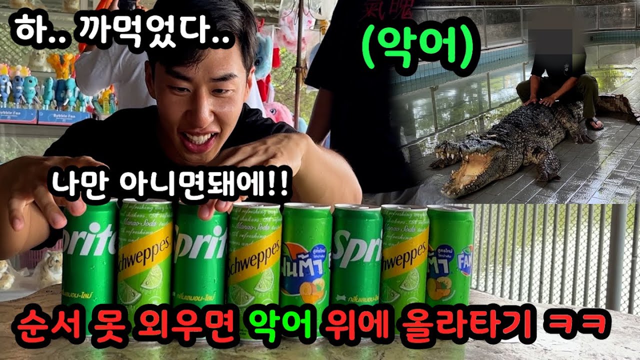 태국 파타야 여행중 시작된 리얼 야생 복불복게임 ㅋㅋㅋㅋ악어 우리에 들어가서 올라 타고오기 ㅋㅋㅋ