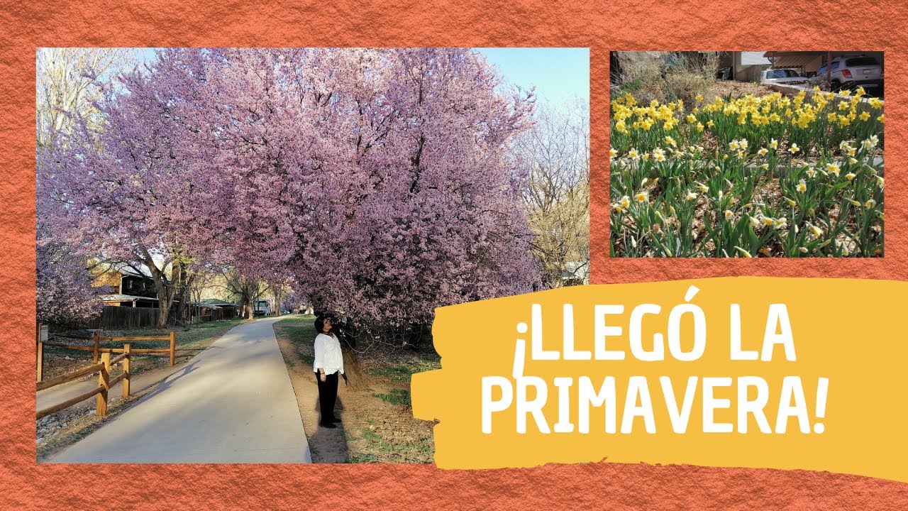 ¡LLEGÓ LA PRIMAVERA A MOAB!
