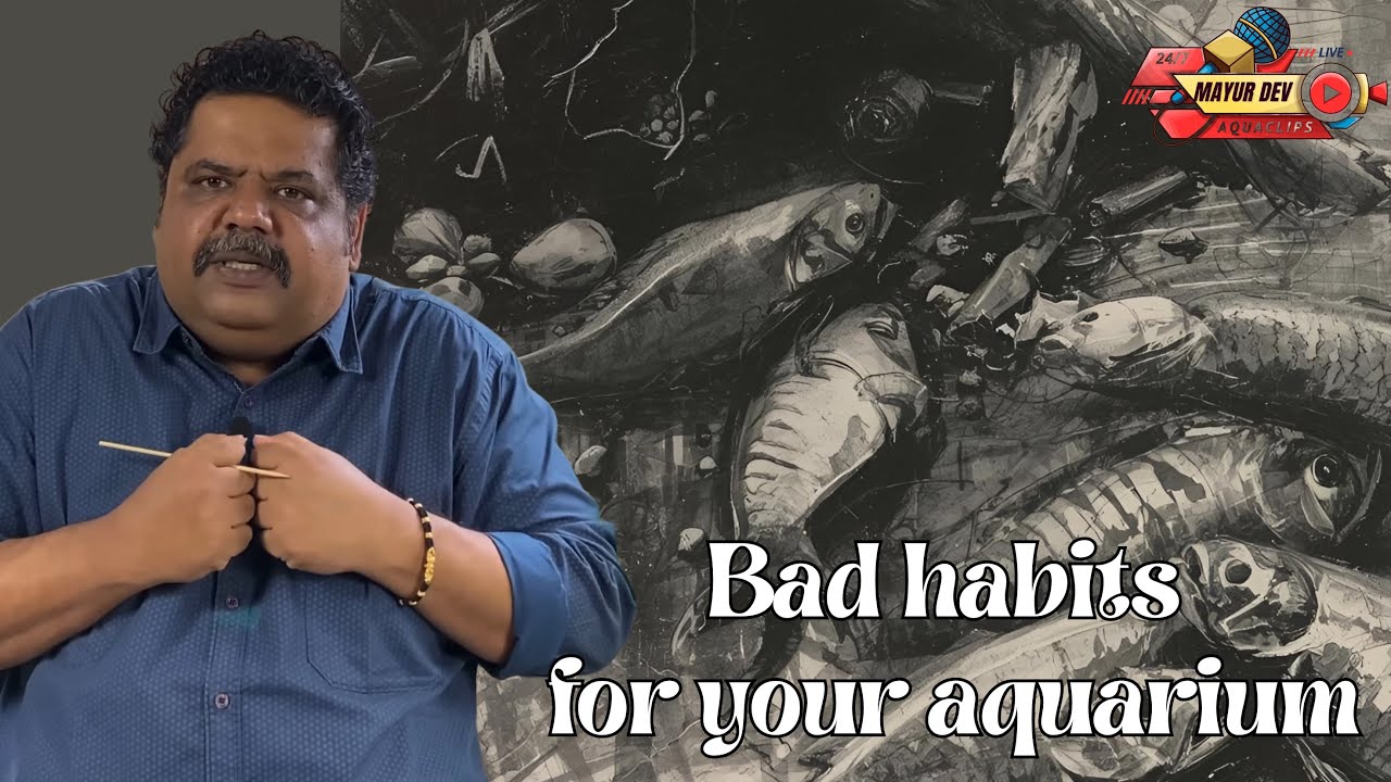 Bad Aquarium Habits That Are Secretly Harming Your Fish | Must Watch for All Fishkeepers! (Part 1)”