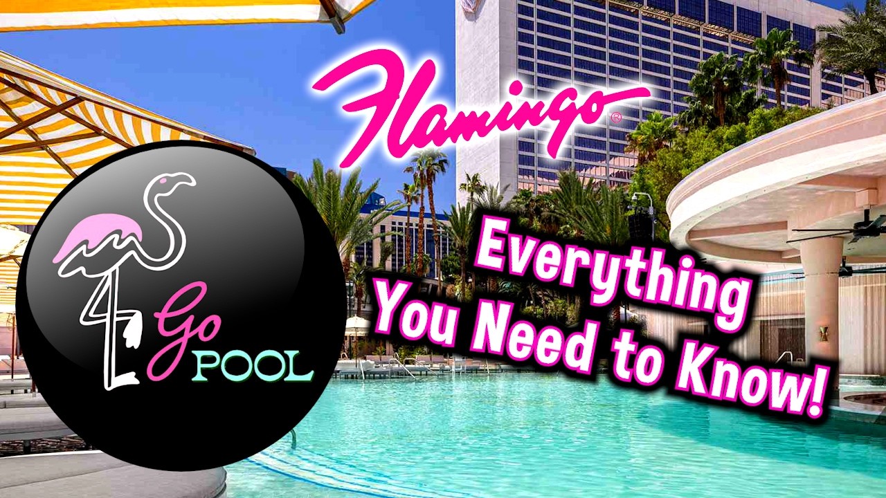 The NEW Flamingo Go Pool - Everything you need to know!  Tips and Tricks - Prices - Pools - Cabanas