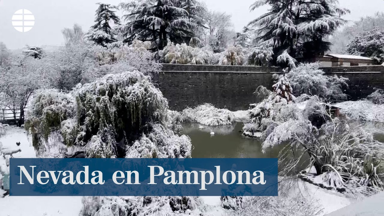 Nevada en Pamplona