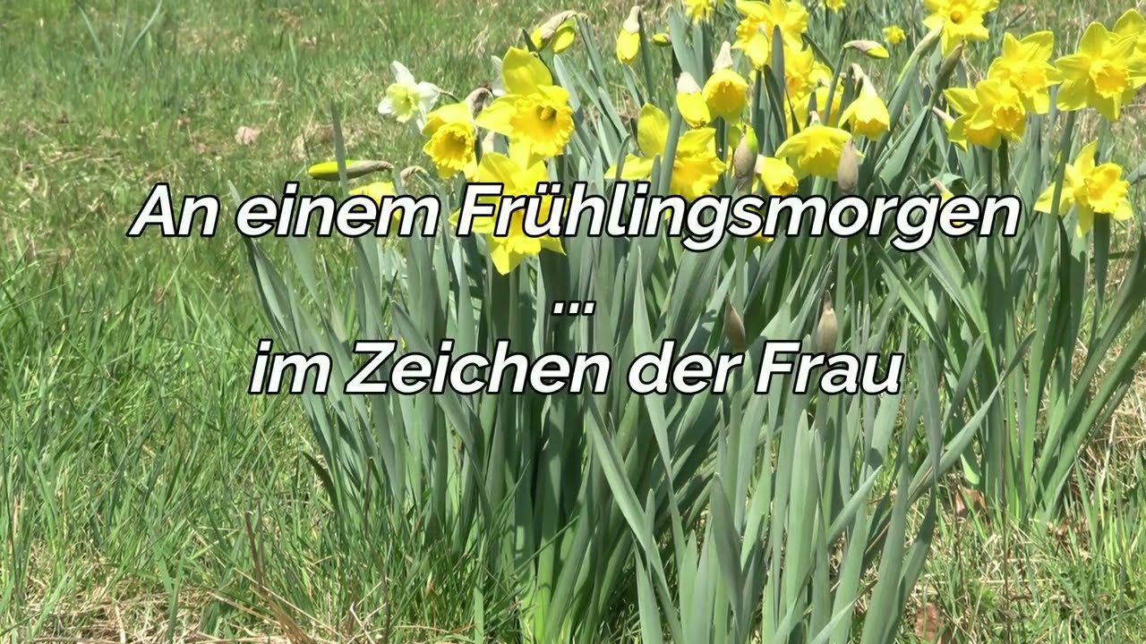 VILLA FRANCK: Musikfilm 