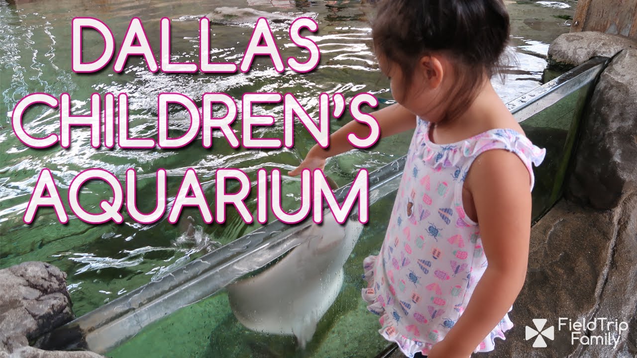 Field Trip Family / Dallas / Children's Aquarium at Fair Park