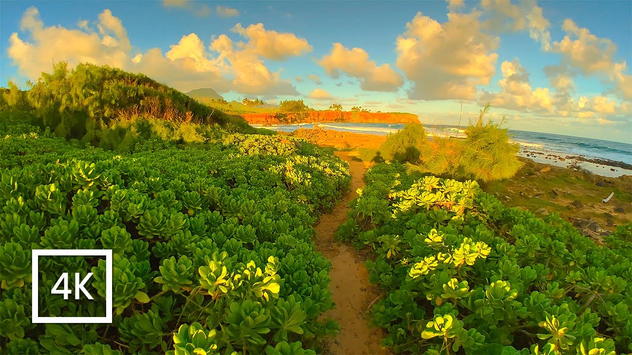 Relaxing Coastal Hike Along Maha'ulepu Heritage Trail, Kauai (Ambient ASMR Binaural Ocean Waves)