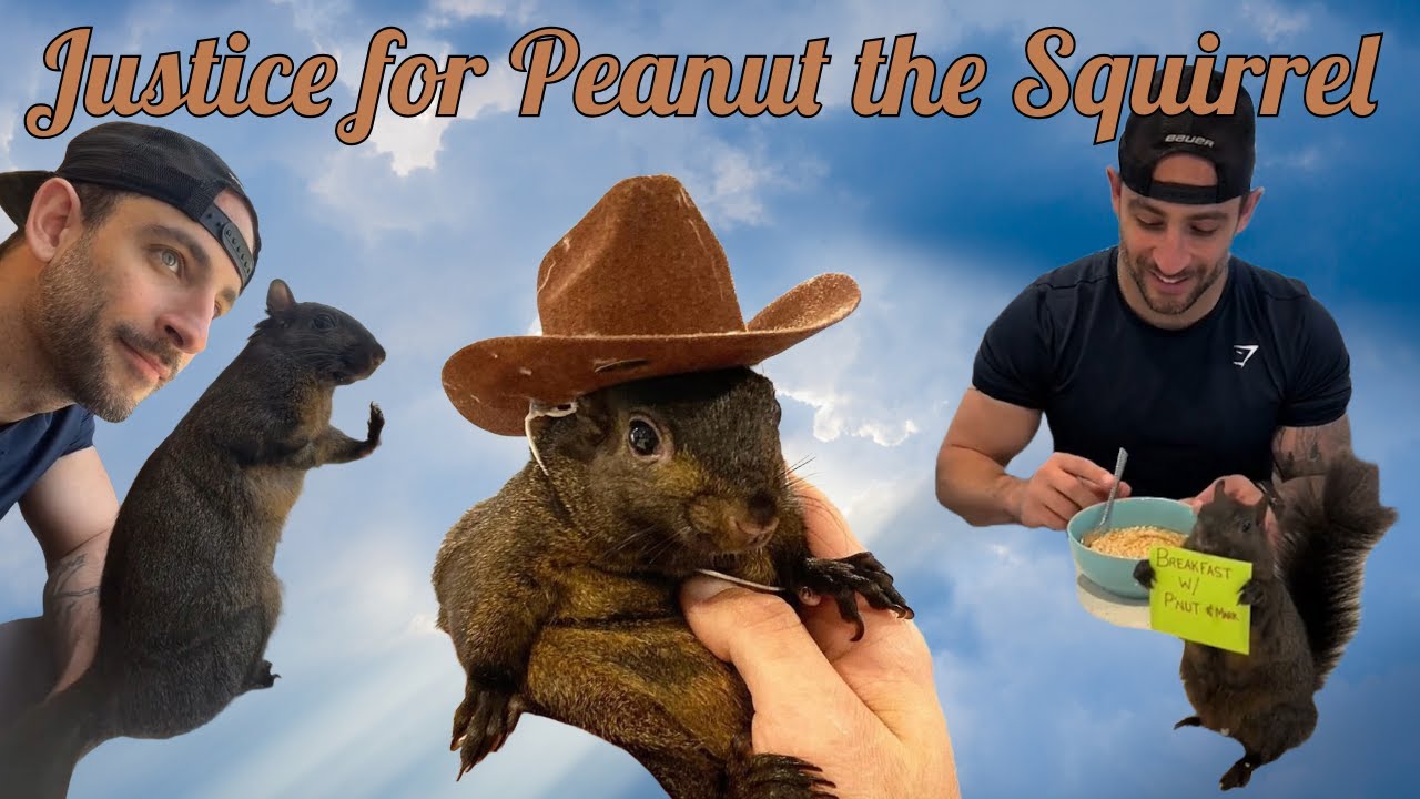 Justice for Peanut the Squirrel - EPIC BALLAD Song + Lyrics