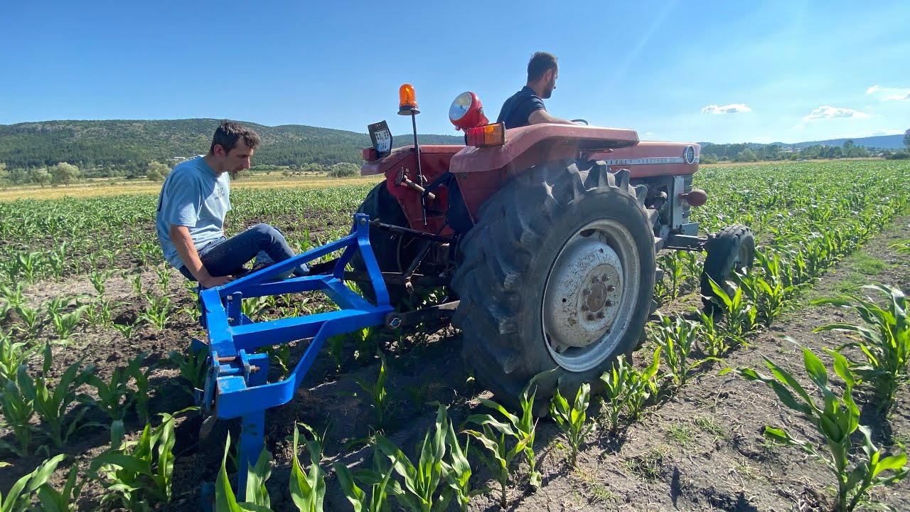 MF 165 İLE MISIR ARASI SÜRÜMÜ Ve ÇAPALAMA