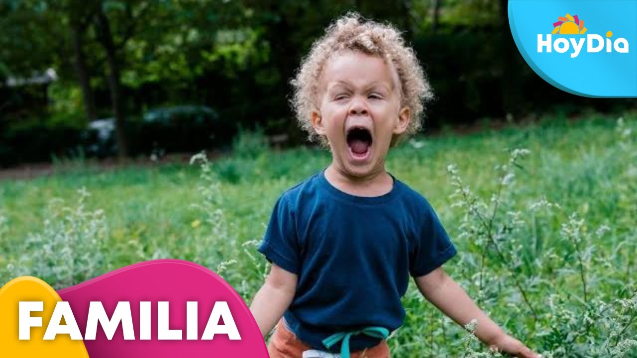 ¿Cómo sobrellevar los terribles 3 años de nuestros hijos? Experta lo explica | Hoy Día | Telemundo