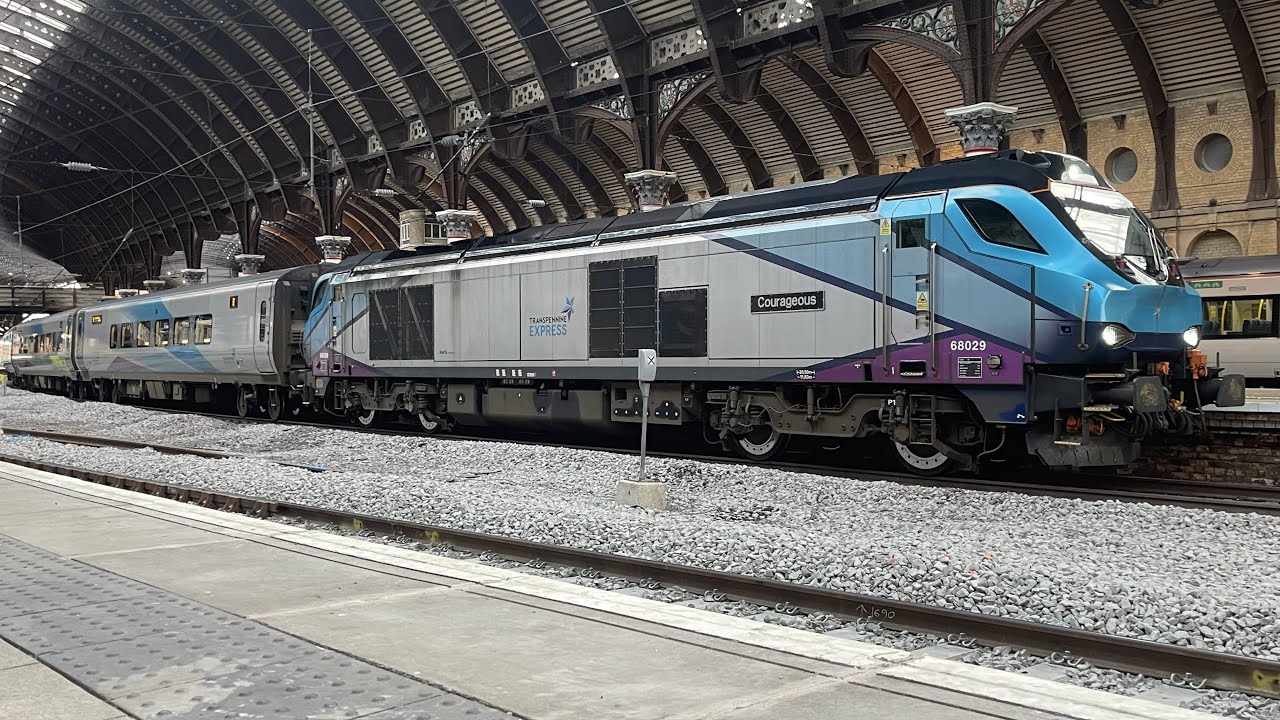 York Week 19 2023