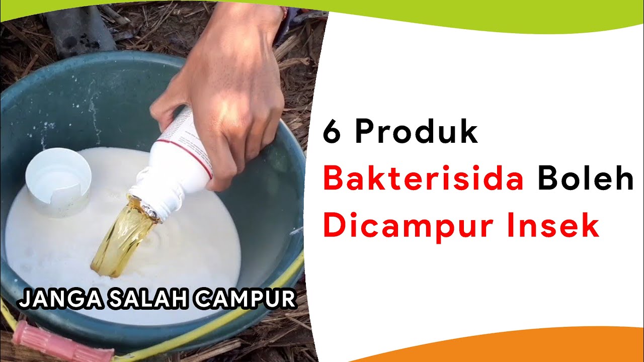6 Bakterisida yang Boleh Dicampur Fungisida dan Insektisida Lain