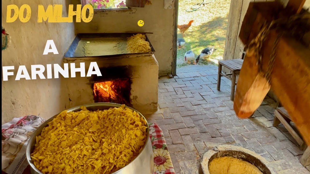 PROCESSO ARTESANAL DA FARINHA DE MILHO - É A VIDA NAS MONTANHAS -  TRADIÇÃO QUE VEM DE FAMÍLIA 