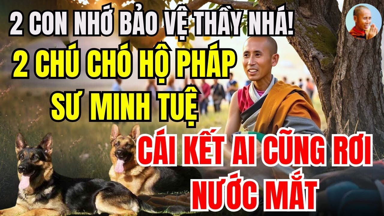 Thầy Minh Tuệ Và 2 Chú Chó Hộ Pháp – Chuyện Lạ Linh Thiêng Khiến Ai Cũng Rơi Lệ!