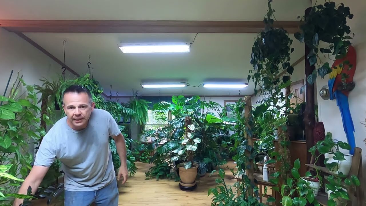 MY PLANT ROOM -Explained