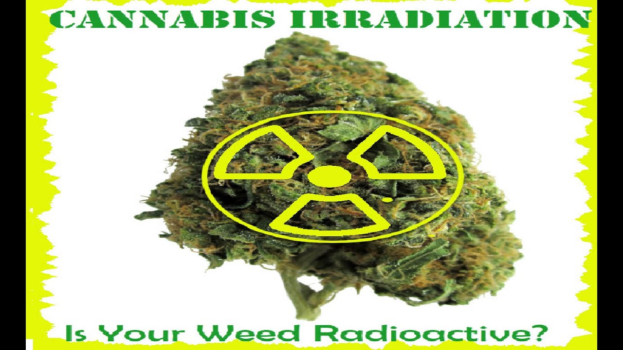 Gamma Radiated weed WTF, weed radiation?