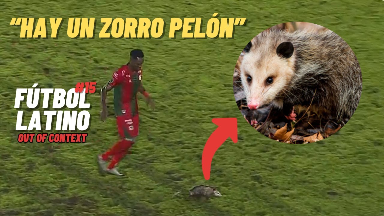 Fútbol Latinoamericano Out of Context #15