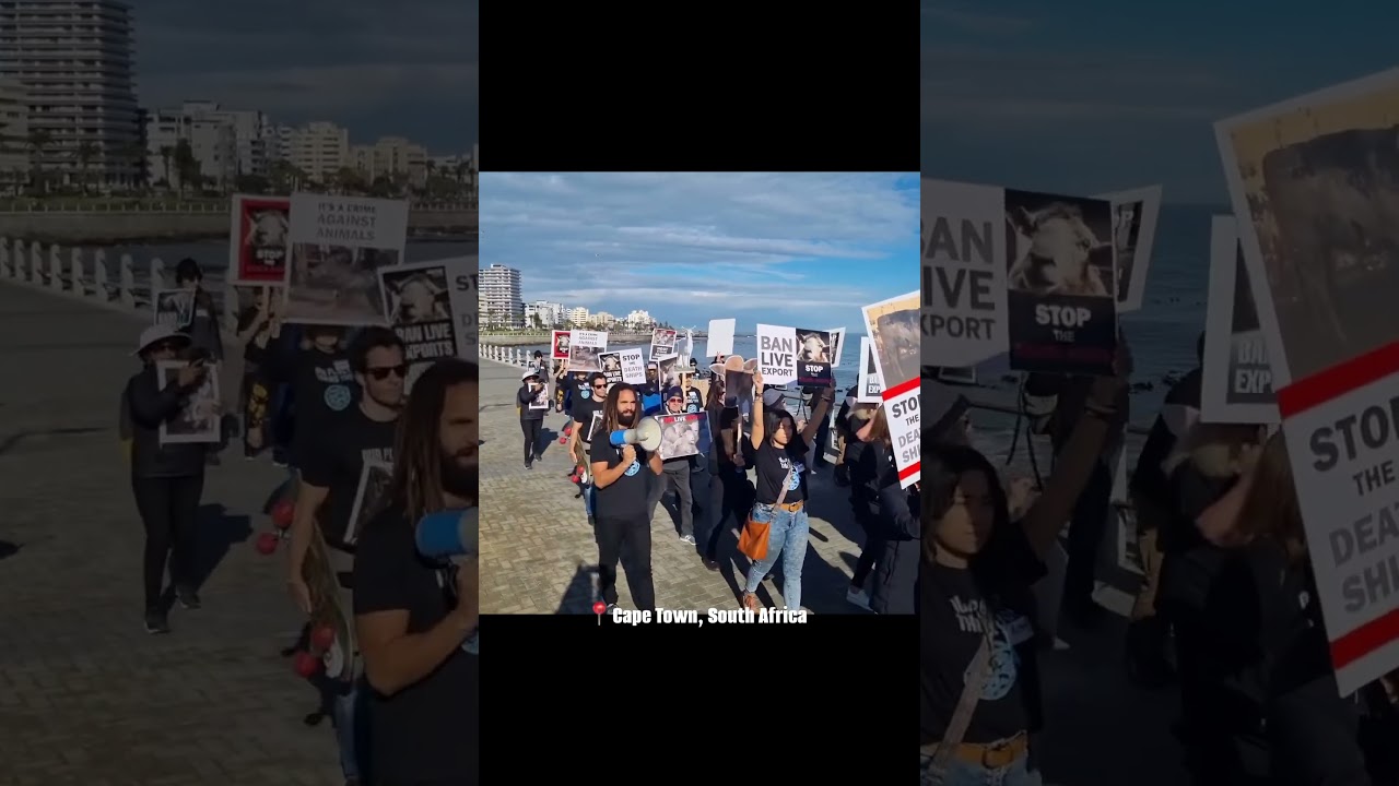 South Africa celebrates National Animal Rights Day for the First Time! | NARD 14 | #shorts