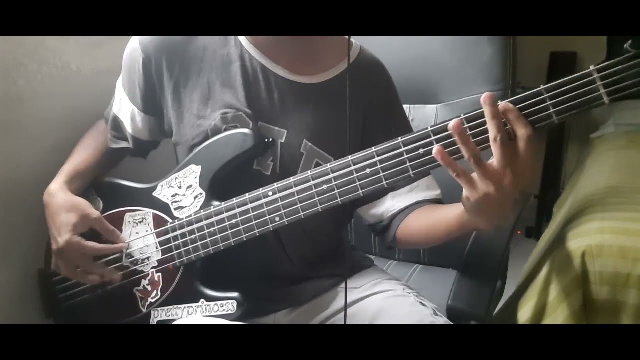 Plug In Baby - Muse bass cover