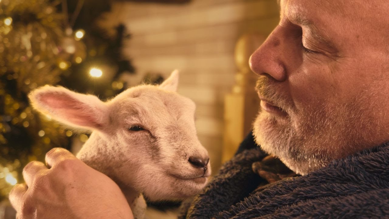 Sam Clegg - One Moment More | Official 2023 Christmas Advert / Music Video