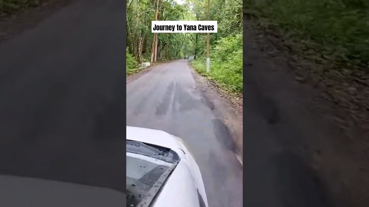 Journey to Yana Caves #dattatraysagat #yanacaves #yanacave #gokarna #travel #shorts #shortsyoutube