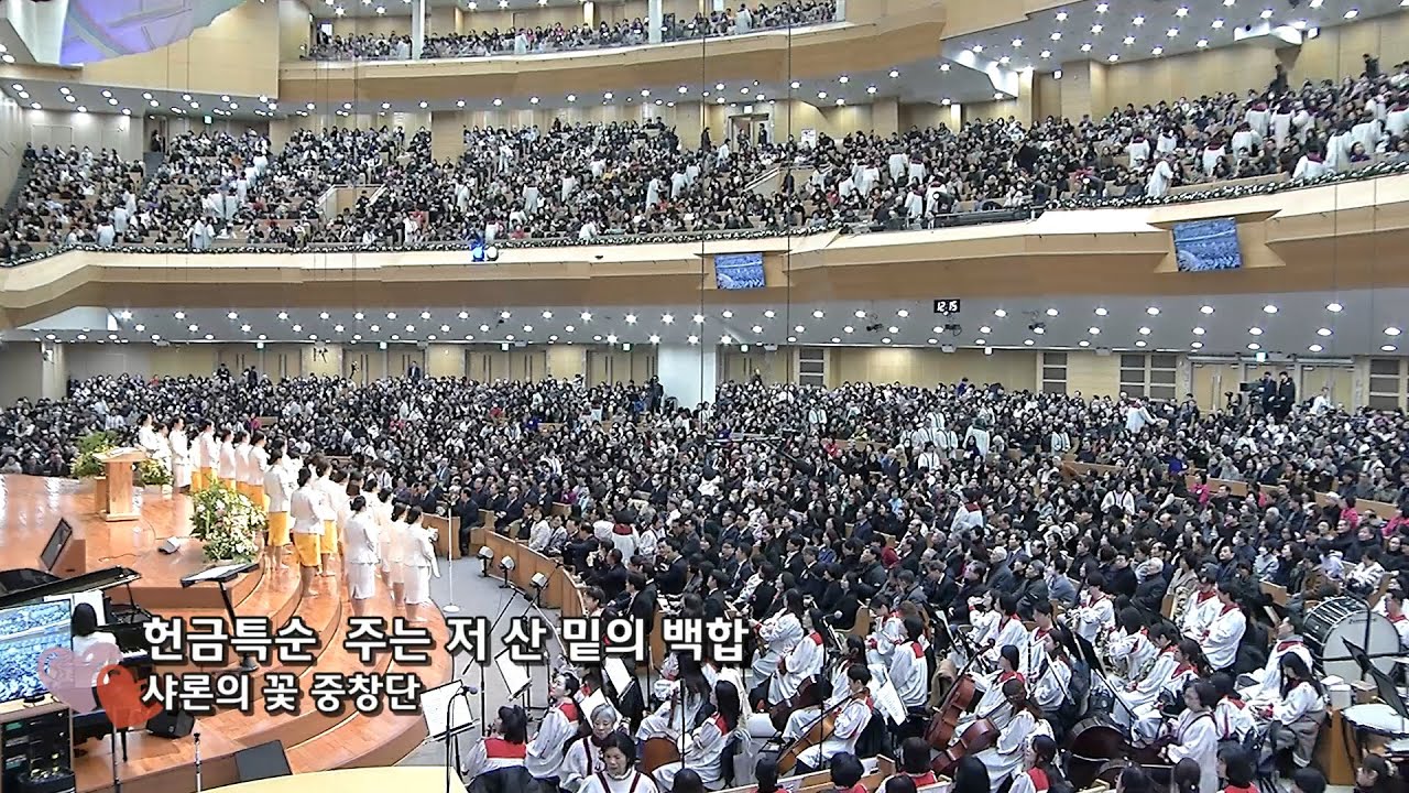 [2026년01월11일-3부] / 주는 저 산 밑의 백합