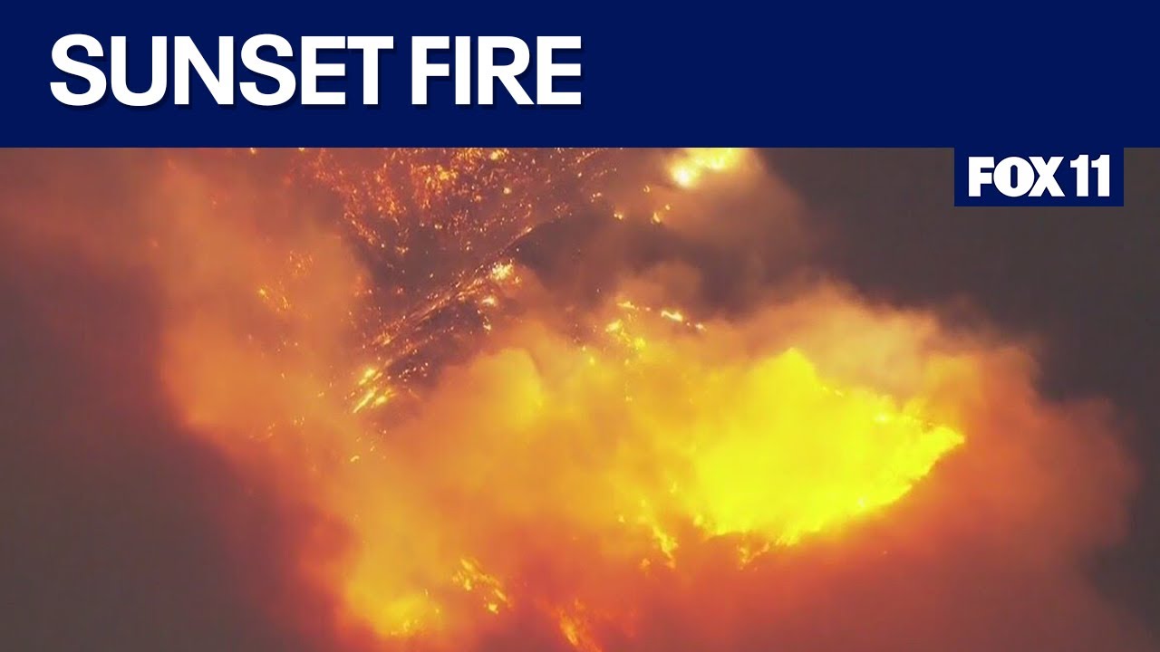Hollywood Hills Fire: Sunset Fire is latest California wildfire