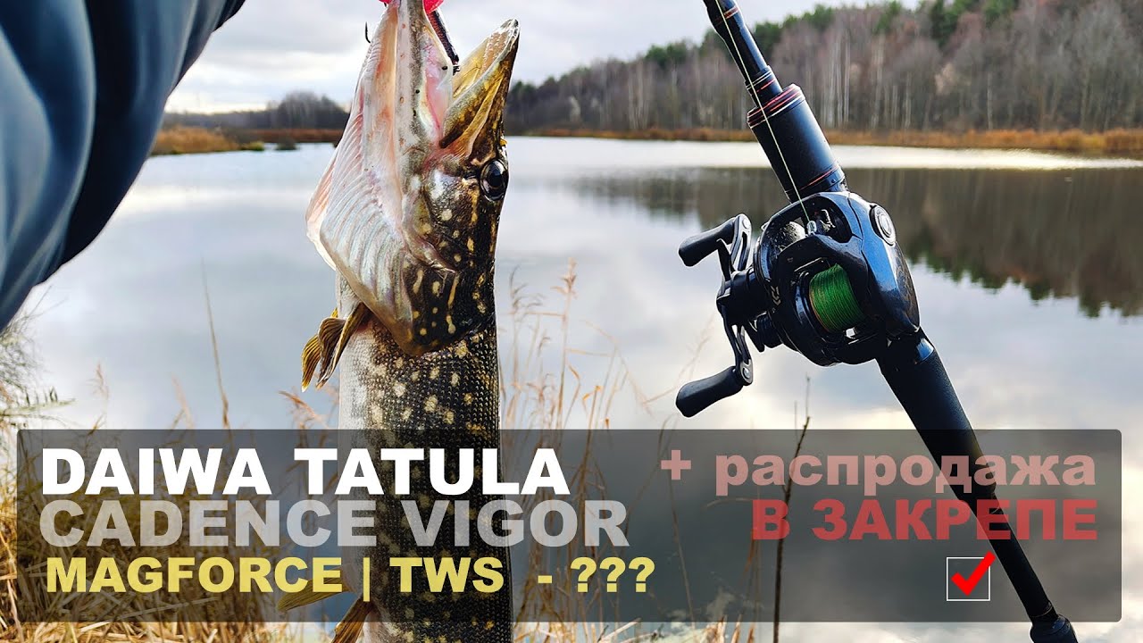 ПРАВДА про DAIWA TATULA, TWS и MAGFORCE. Распродажа на сайте + Ловим щуку на воблеры.