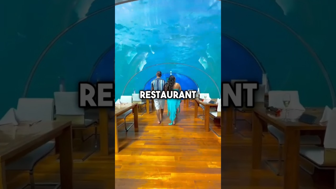 Ithaa Underwater Restaurant 🐠🍴