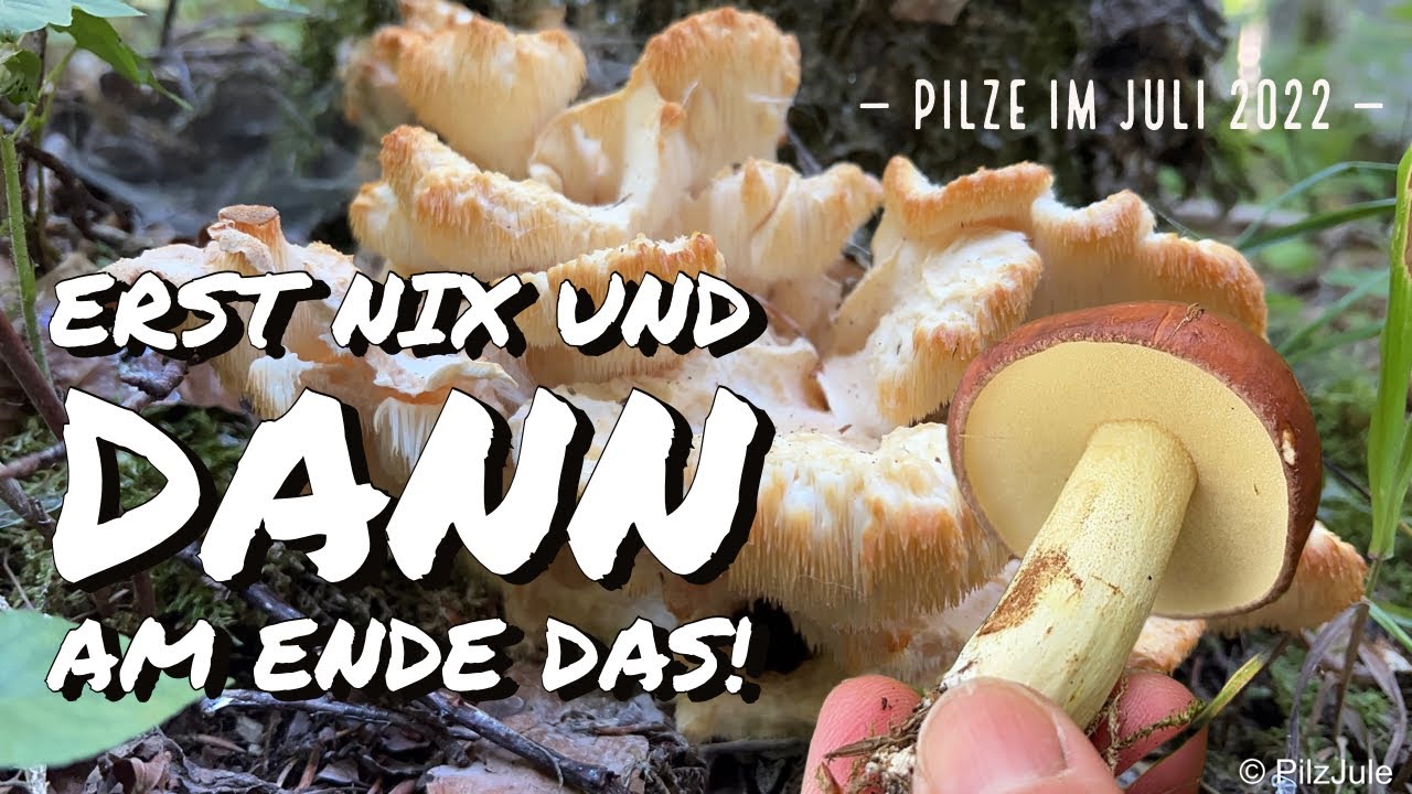 PILZE IM JULI 2022 – Teil 1 – Sensationeller Pilzfund und Erstfund!