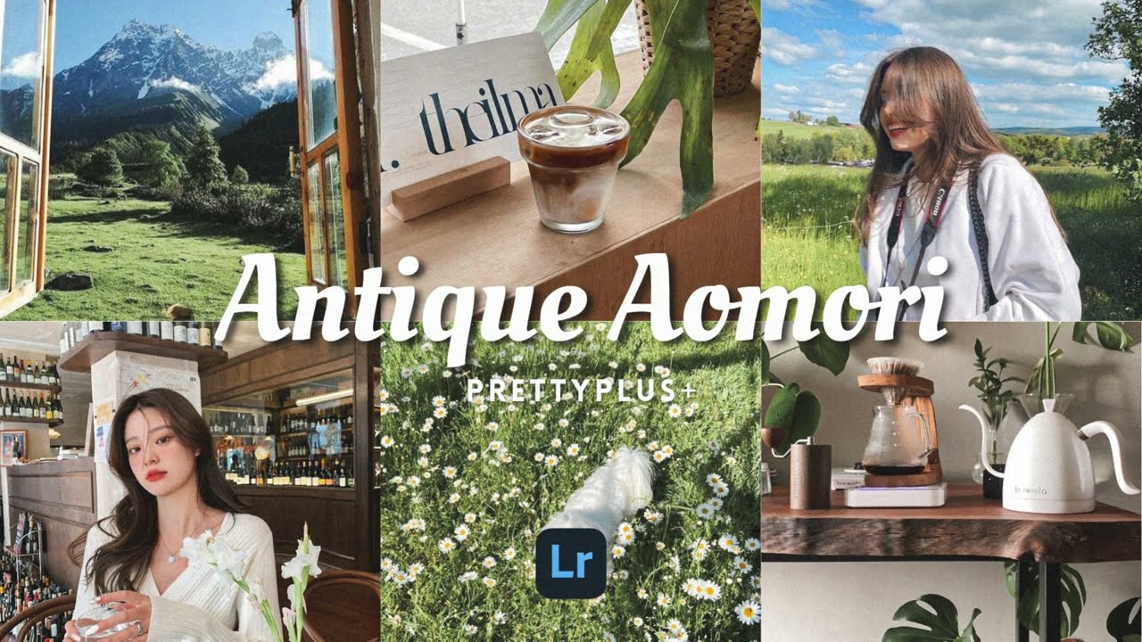 Antique Aomori - Lightroom Mobile Preset Android iOS| Free Download DNG & XMP | Bright Clear Nature