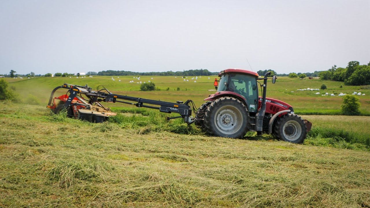 Unique Kubota Mower Conditioner in Action! DMC8540T with DMC6389 BX Belt Merger Kit Installed