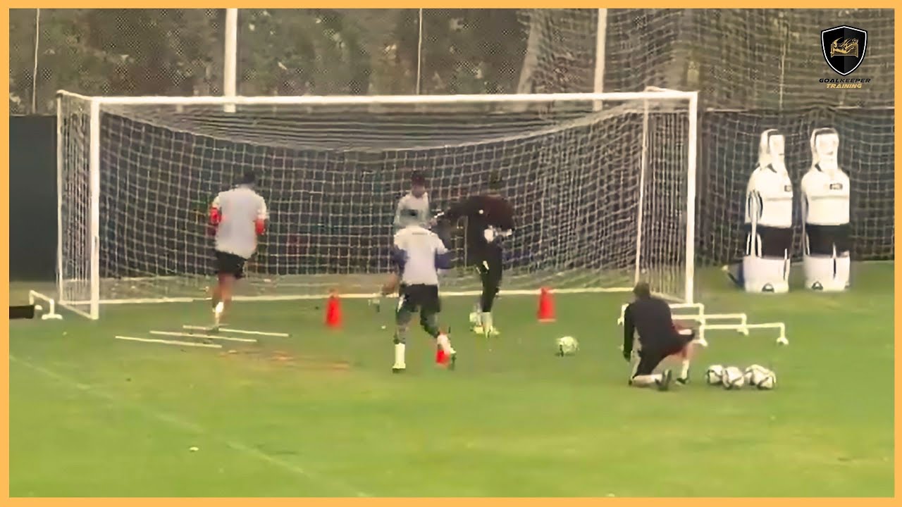 Professional Goalkeeper Training