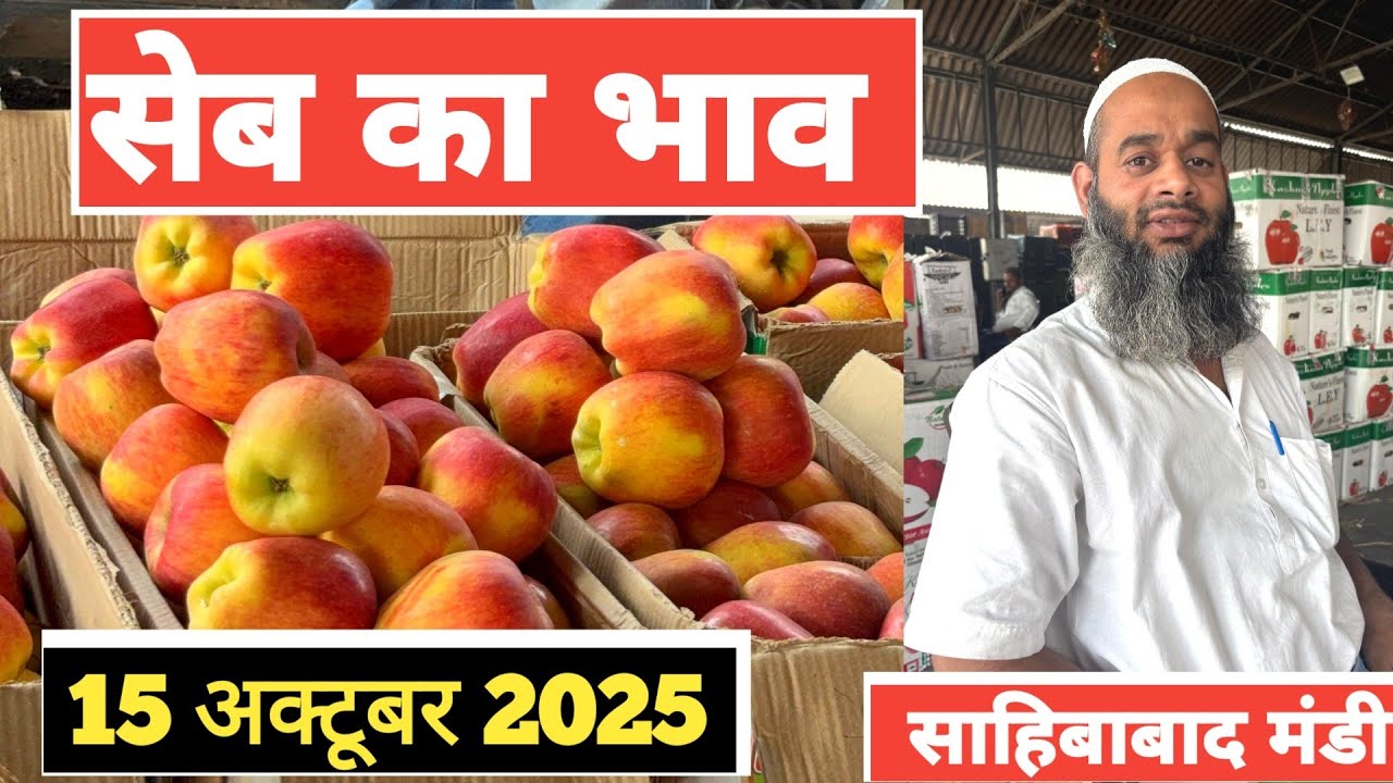 15 October 2025 🍎सेब के भाव साहिबाबाद मंडी | today kashmir apple rates #apple #mandirates #fruit 