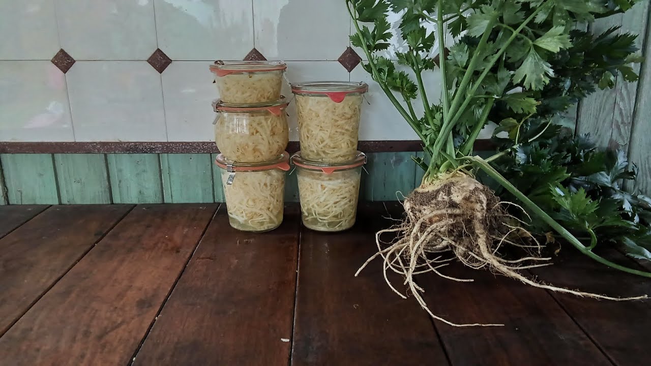 Sellerie einkochen / haltbar machen