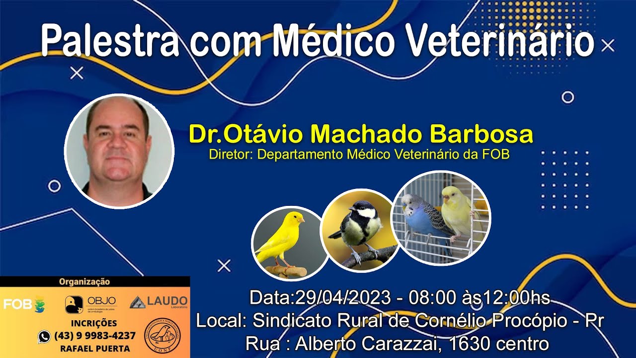 Como alimentar seu canário belga ou periquito - o médico veterinário Otávio Machado Barbosa explica
