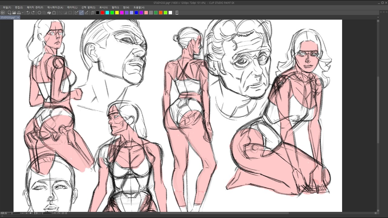 DAILY STUDY!20260214