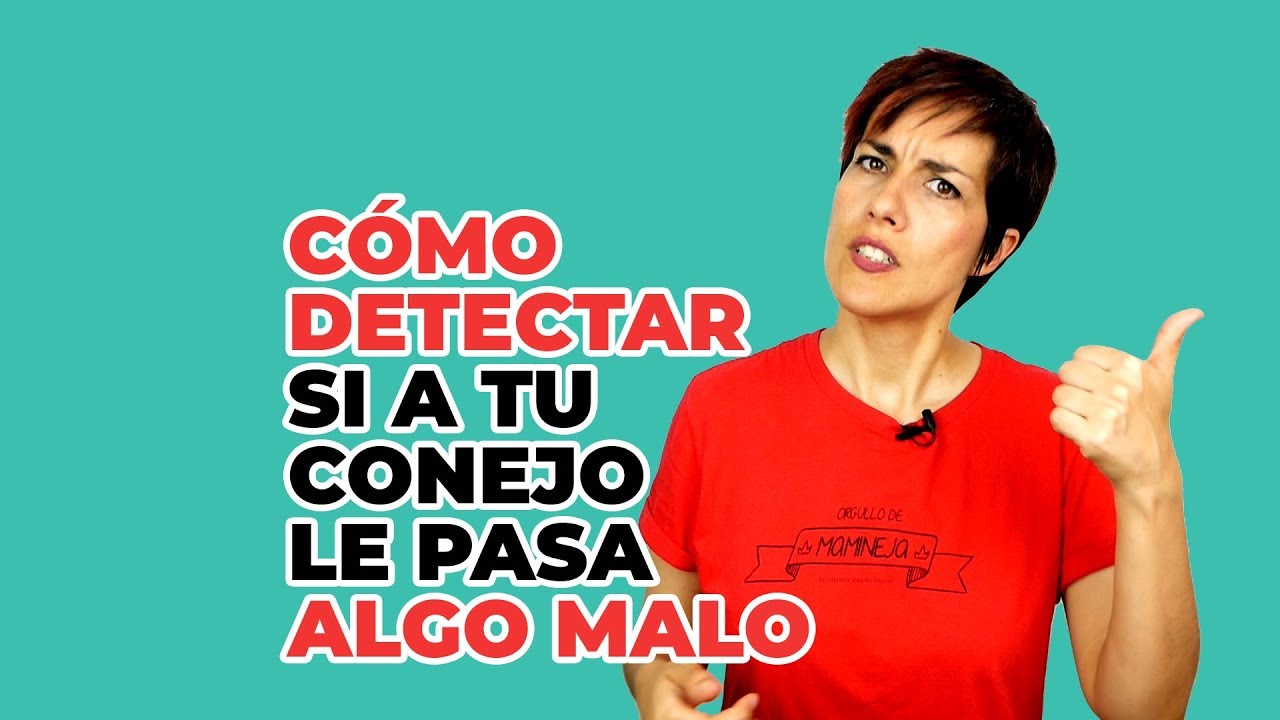 COMO DETECTAR Si A Tu Conejo Le Pasa ALGO MALO 😨