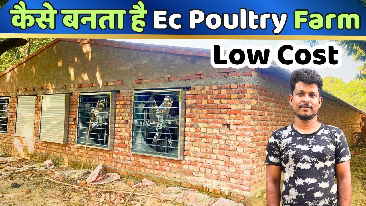 Ec Poultry Farm कैसे Set Up करे | कितना खर्चा होता है | Semi Ec Farm Set Up