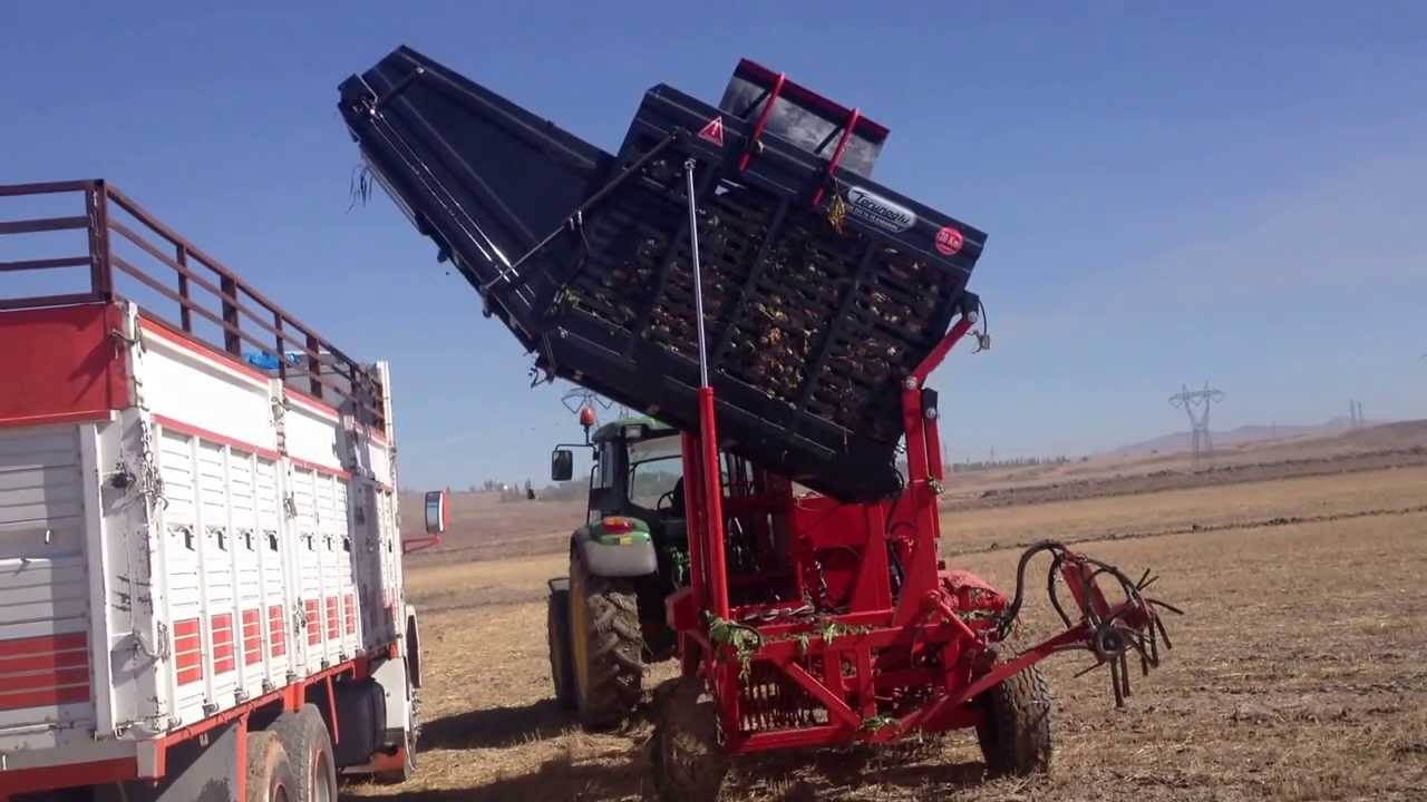 torunoğlu H4200 pancar hasat makinası