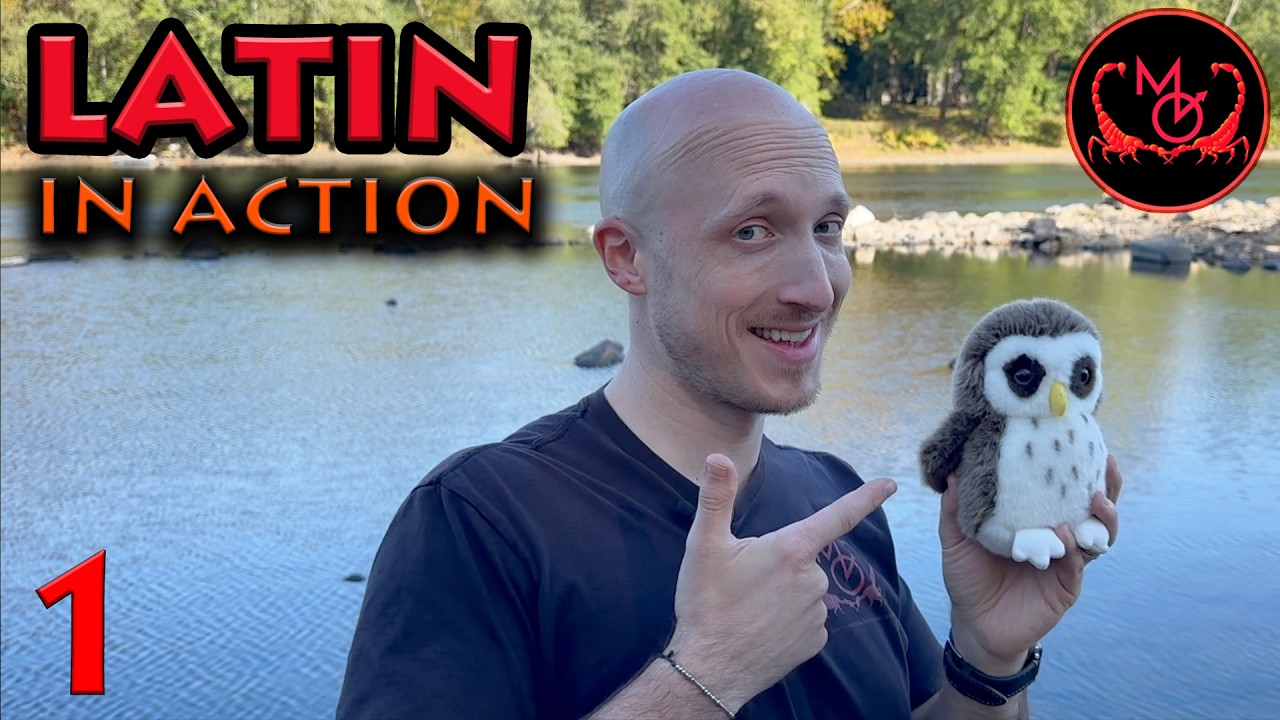 Latin in Action! ep.1 |  Throwing, Running, Climbing, Descending