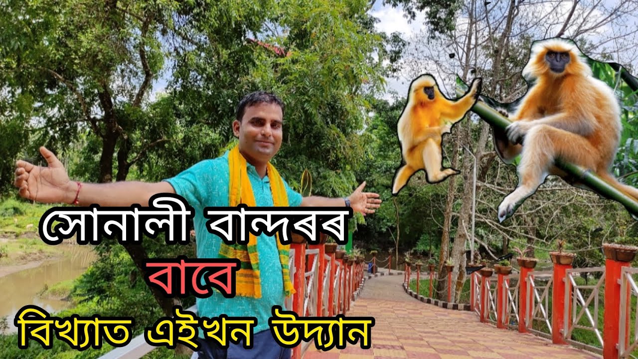 kakoijana natural park। সোনালী বান্দৰৰ বাবে বিখ্যাত এই উদ্যান।। @DimpusVlogs @MrinmoysVlogs