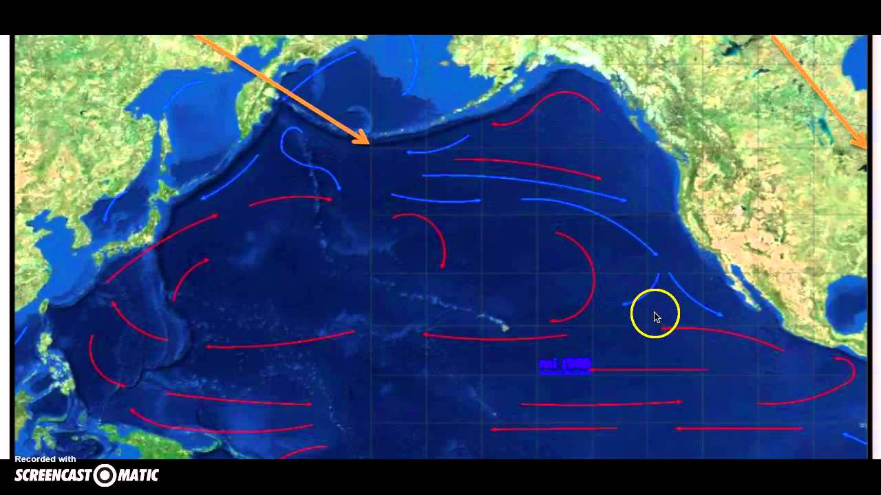 Pacific Ocean Currents Screencast