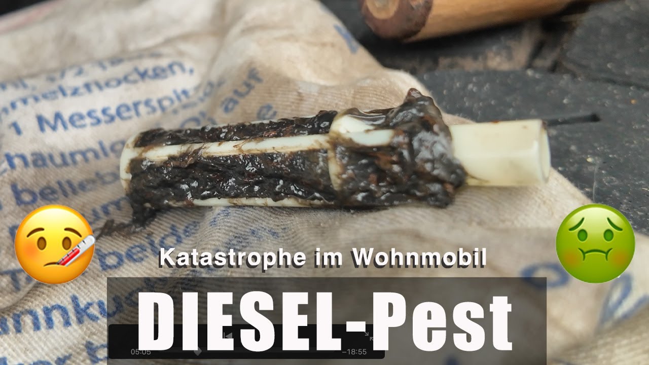 LKW-Wohnmobil bleibt liegen – Dieselpest hat uns erwischt 😱