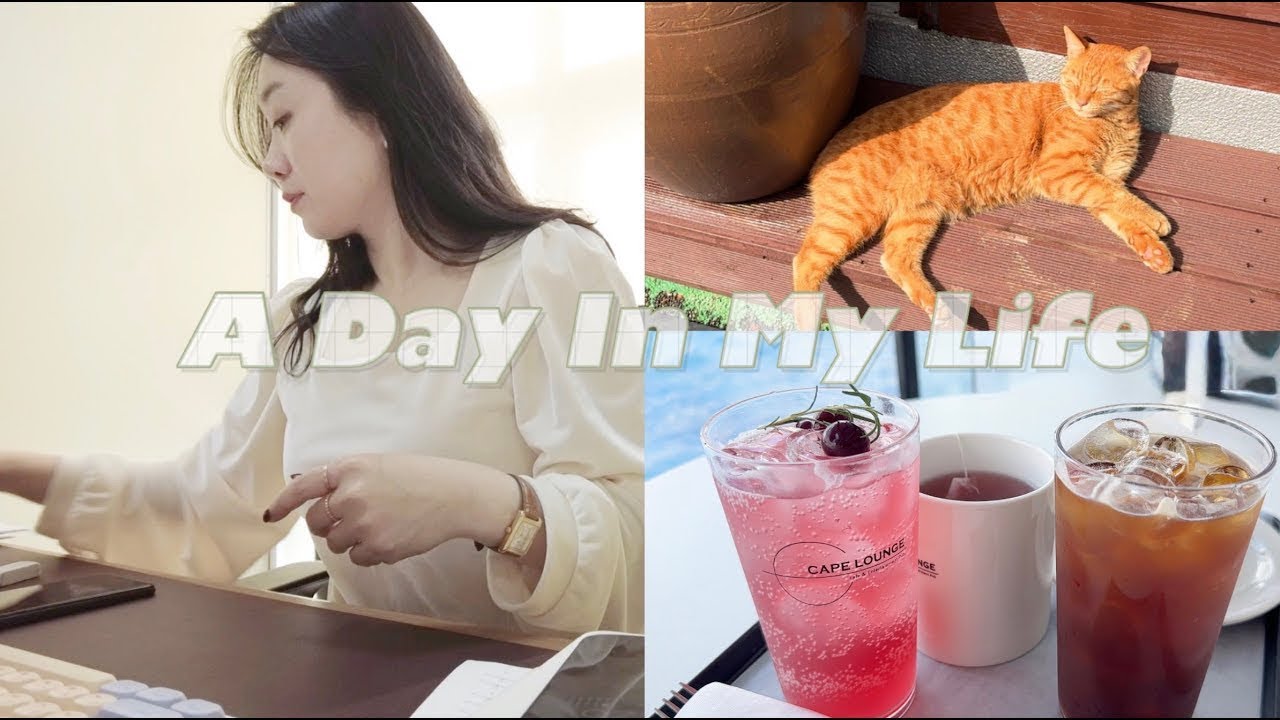 [VLOG] 🤯 키보드랑 싸우다 얻어낸 꿀맛 연차! 교육원 실장의 극과 극 힐링 Day (요양보호사 업무 현실)