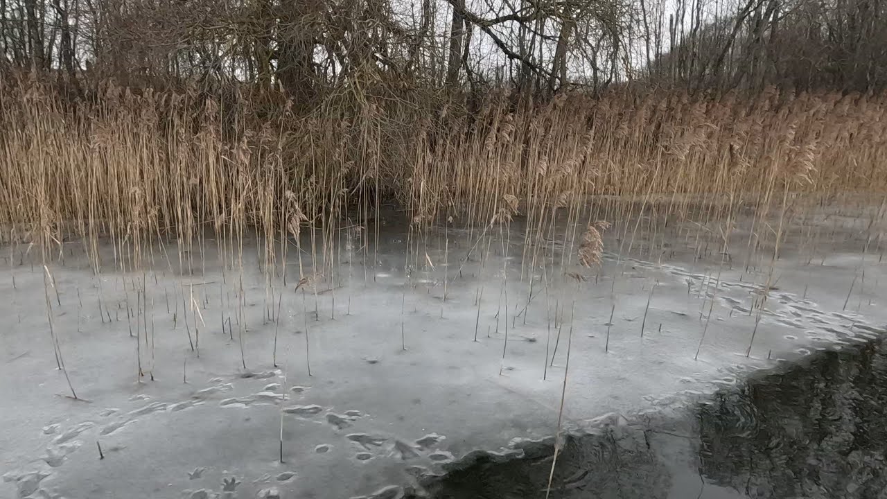 Рыбалка в Латгалии. Озеро Ормияс.