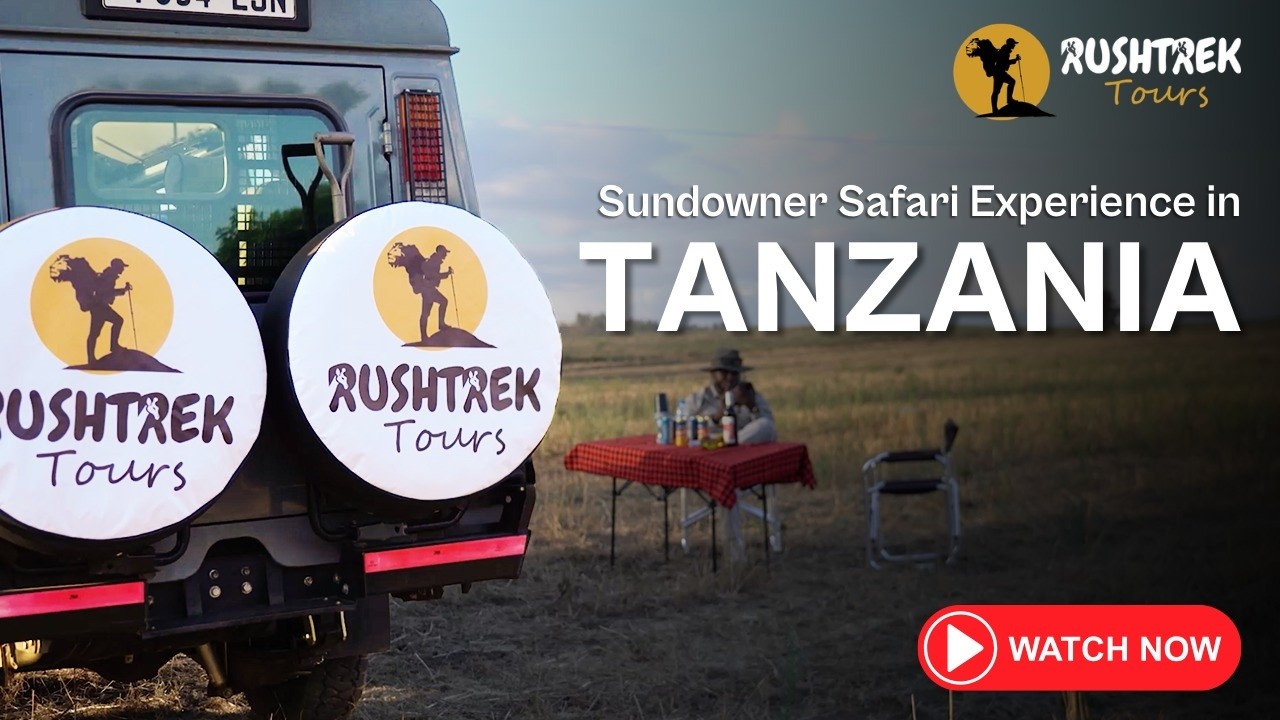 Sundowner Safari Experience in Tanzania | Magical Sunset in the Wild | RushTrek Tours