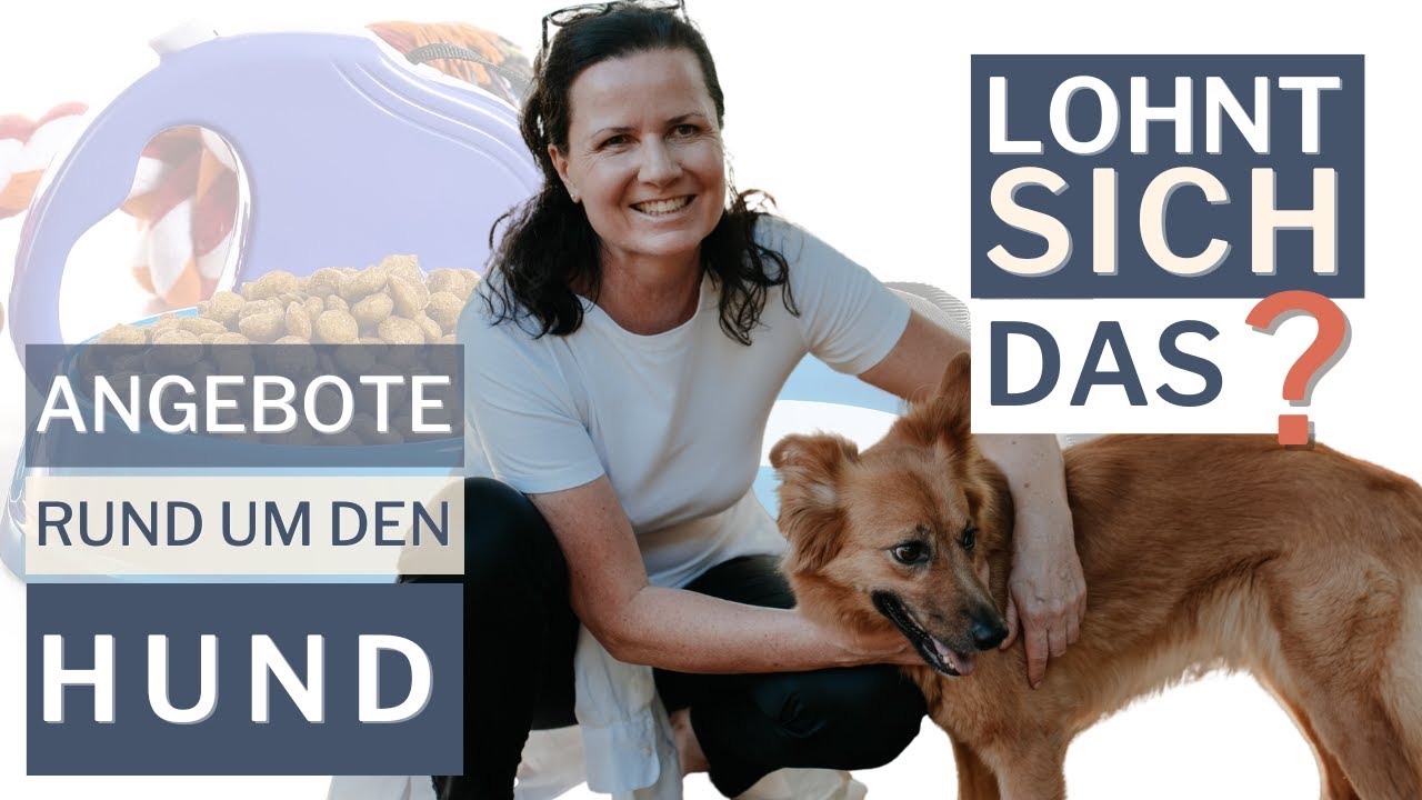 Lohnt sich Selbstständigkeit rund um den Hund
