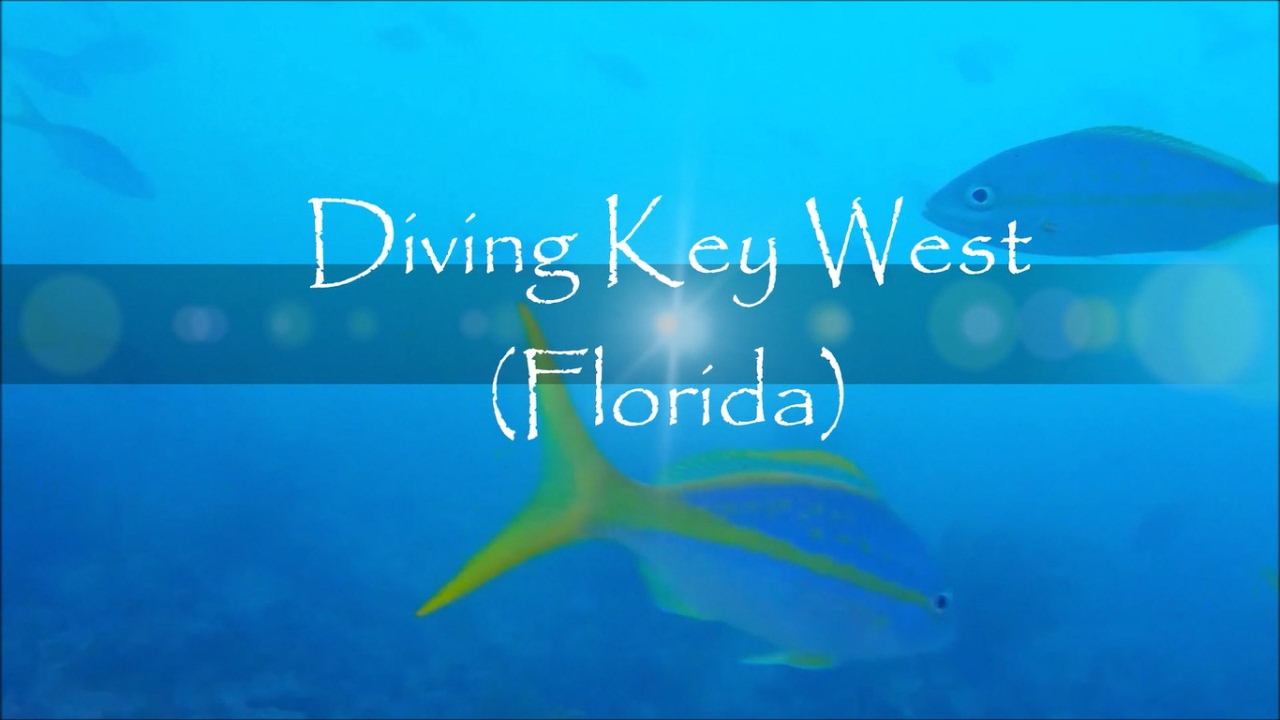 Diving Key West (Florida)