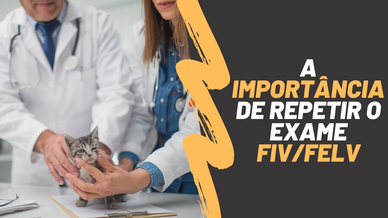 A Import&acirc;ncia de Repetir os Exames FIV/FELV