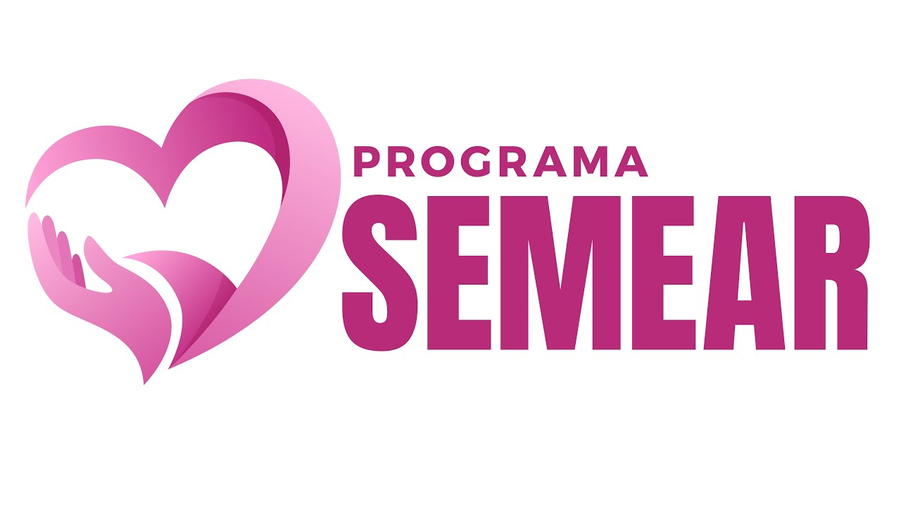 PROGRAMA SEMEAR